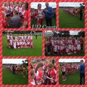 Inch Rovers U 12 "B" County Champions