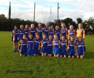 Lisgoold U 12 Panel 2015