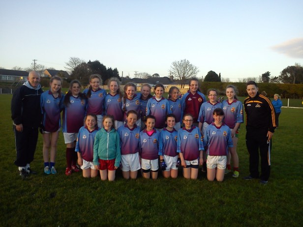 St Colmans U 14 team 2016