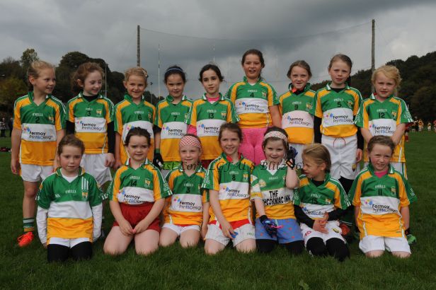 Bride Rovers U 8 Girls who played in the East Cork Ladies Football Blitz