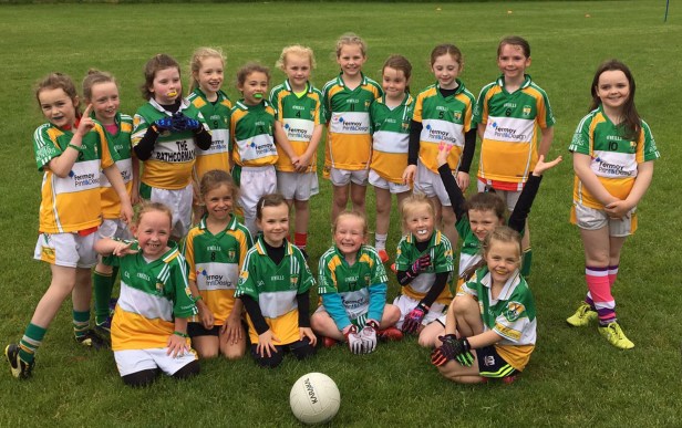 Bride rovers U8 Girls v Midleton 2017